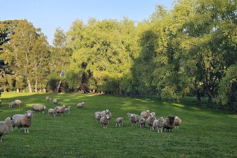 Photo of property in 342 Spur Road, Stillwater, Silverdale, 0993