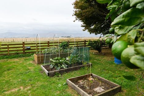 Photo of property in 485 Poplar Road, Opiki, Palmerston North, 4474