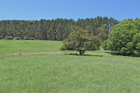 Photo of property in 546 Trig Road, Waihi, 3681