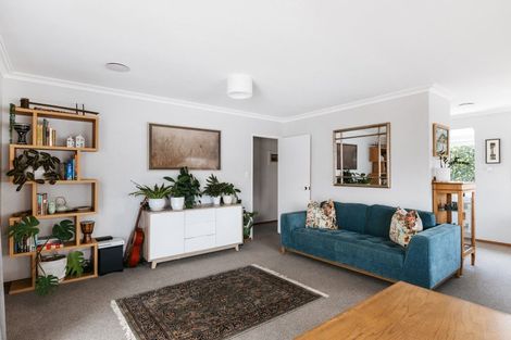 Photo of property in 5a Twelfth Avenue, Tauranga South, Tauranga, 3112