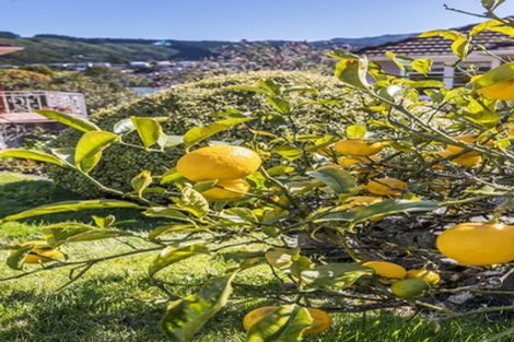 Photo of property in 66 Taylor Terrace, Tawa, Wellington, 5028