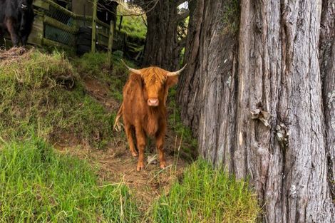 Photo of property in 101 Ridgewood Drive, Ridgewood, New Plymouth, 4371