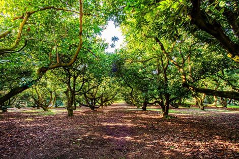 Photo of property in 138 Te Puna Road, Te Puna, Tauranga, 3174