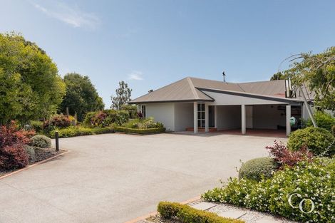 Photo of property in 824b Pyes Pa Road, Pyes Pa, Tauranga, 3173