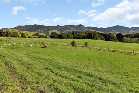 Photo of property in 1488 Kirikopuni Road, Tangiteroria, 0381