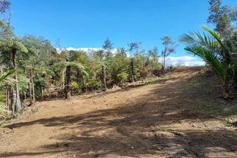 Photo of property in 109 Kawhina Lane, Kuaotunu, Whitianga, 3592