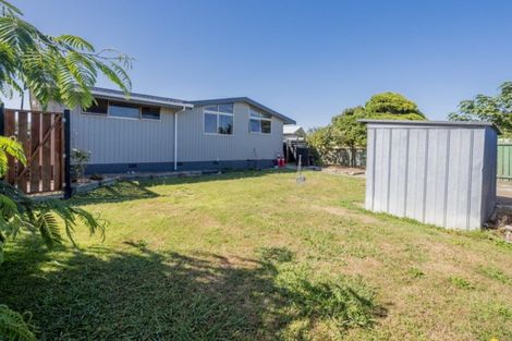 Photo of property in 6 Drake Street, Levin, 5510