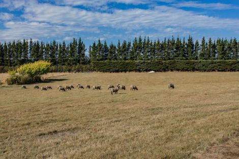 Photo of property in 176 Balcairn Amberley Road, Balcairn, Amberley, 7481