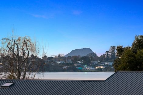 Photo of property in 88 Haukore Street, Hairini, Tauranga, 3112