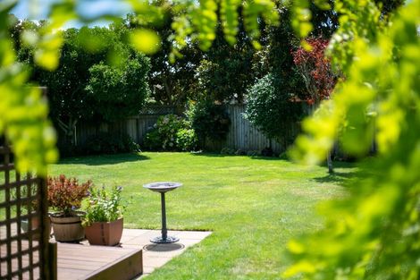 Photo of property in 14 Watkins Road, Cambridge, 3434