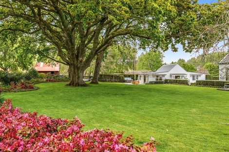 Photo of property in 84 Kaipara Flats Road, Dome Forest, Warkworth, 0981