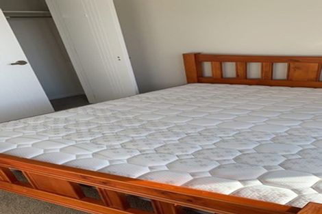 Photo of property in 24 Puoro Street, Flat Bush, Auckland, 2019