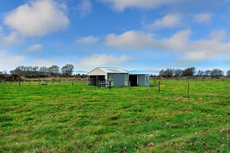 Photo of property in 135 Aitkens Road, Leeston, 7683