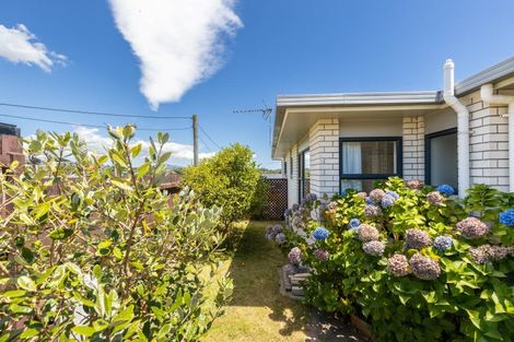 Photo of property in 47 Paynters Avenue, Strandon, New Plymouth, 4312