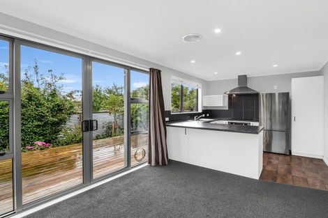 Photo of property in 114a Stanford Street North, Ashhurst, 4810