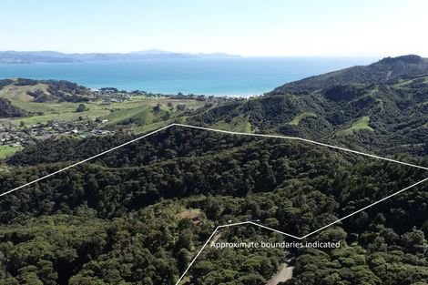 Photo of property in 109 Kawhina Lane, Kuaotunu, Whitianga, 3592