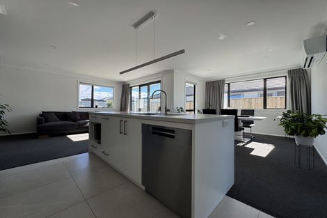 Photo of property in 60 Woodley Road, Richmond, 7020