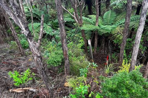 Photo of property in 25 Te Ahu Place, Karikari Peninsula, 0483