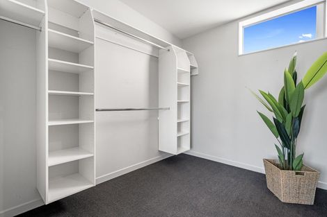 Photo of property in 118 Edgecumbe Road, Tauranga South, Tauranga, 3112