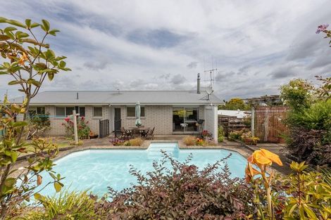 Photo of property in 17 Glenfield Place, Brookfield, Tauranga, 3110