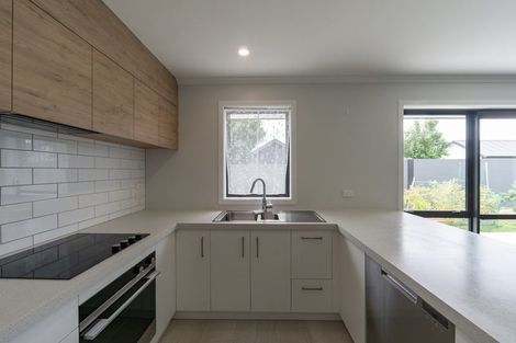 Photo of property in 32 Hector Drive, Rototuna North, Hamilton, 3210