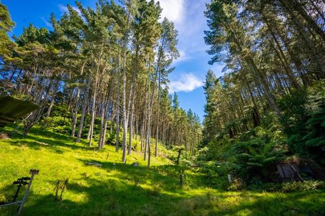 Photo of property in 629a Hakarimata Road, Ngaruawahia, Huntly, 3771