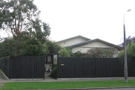Photo of property in 45 Argyle Avenue, Takaro, Palmerston North, 4410