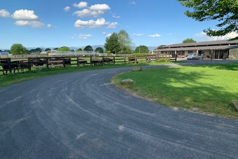 Photo of property in 53 Taihoa Road South, Matamata, 3473