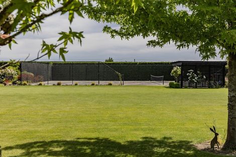 Photo of property in 46 Dalziels Road, Fernside, Rangiora, 7471