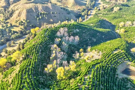 Photo of property in 751 Ongo Road, Hunterville, 4782