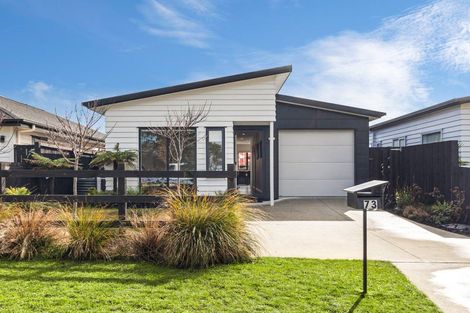 Photo of property in 73 Mclarin Road, Glenbrook, Waiuku, 2681