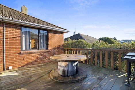 Photo of property in 32 Panmure Avenue, Calton Hill, Dunedin, 9012
