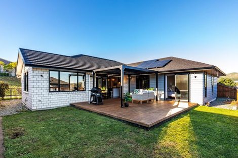 Photo of property in 145 John Burke Drive, Aotea, Porirua, 5024