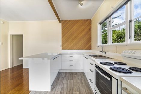 Photo of property in 41 Claude Street, Fairfield, Hamilton, 3214