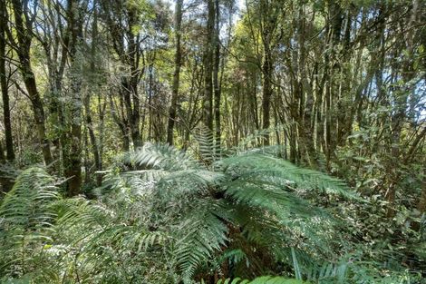 Photo of property in 142 One Mile Line Road, Arahura Valley, Hokitika, 7882