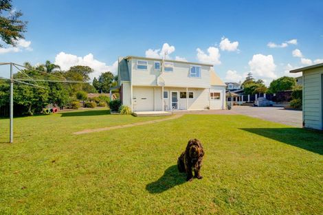 Photo of property in 138 Douglas Avenue, Te Awamutu, 3800