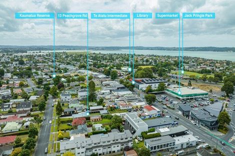 Photo of property in 13 Peachgrove Road, Te Atatu Peninsula, Auckland, 0610