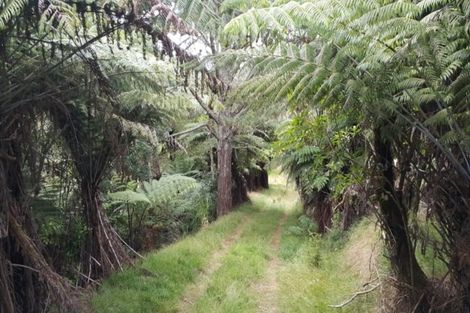 Photo of property in 422 Otau Mountain Road, Clevedon, 2585