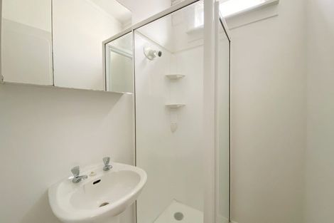 Photo of property in 26 Buchanan Street, Kingsland, Auckland, 1021