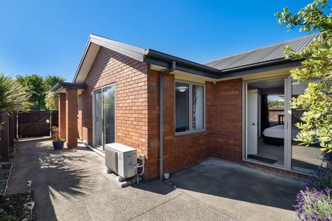 Photo of property in 17 Picton Avenue, Riccarton, Christchurch, 8011