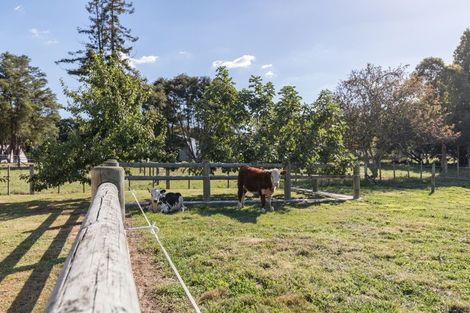 Photo of property in 58a West Street, Morrinsville, 3372