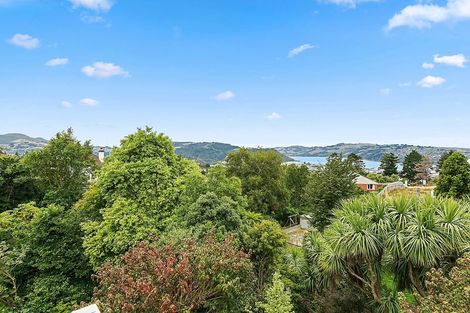 Photo of property in 33 Erin Street, Roslyn, Dunedin, 9010