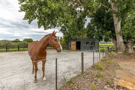 Photo of property in 107 David Street, Yelverton, Blenheim, 7201