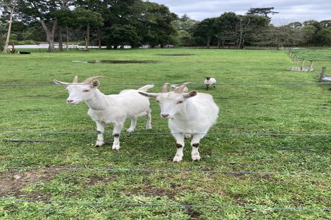 Photo of property in 141 Clark Road, Ngaruawahia, 3793