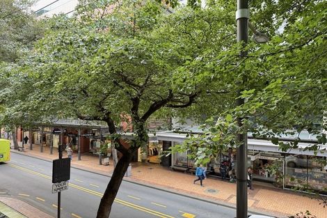 Photo of property in Gerondis Bldg Apartments, 102/60 Willis Street, Wellington Central, Wellington, 6011