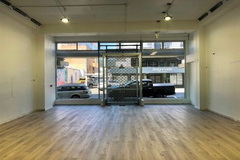 Photo of property in Marion Square Apartments, 3/26 Marion Street, Te Aro, Wellington, 6011