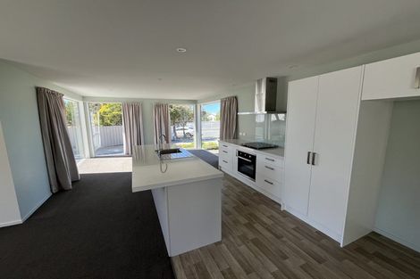 Photo of property in 8a Argyle Street, Marchwiel, Timaru, 7910