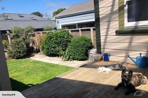 Photo of property in 10 Milton Street, Berhampore, Wellington, 6023