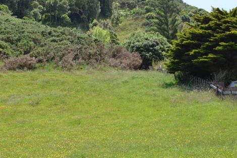Photo of property in 59 North Street, Mokau, 4376