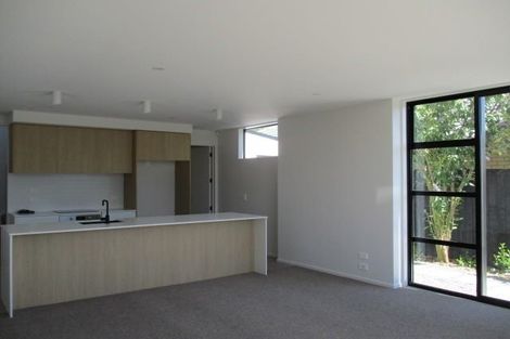 Photo of property in 121a Packe Street, Edgeware, Christchurch, 8013